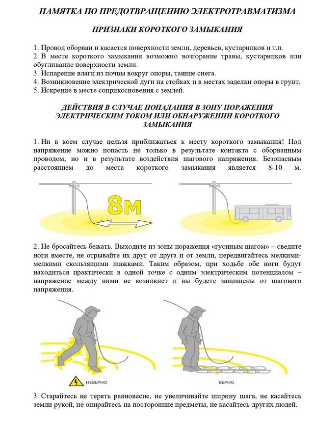 foto 2025 08 14 14 09 001